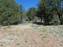 Mescal Gulch Cemetery (13).jpg