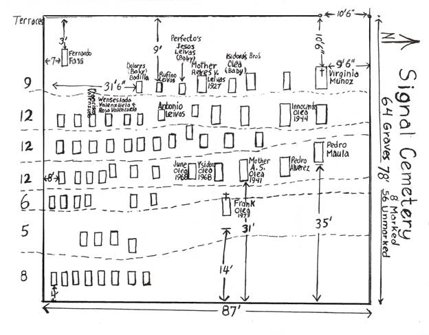 Signal_Cem_Layout.jpg